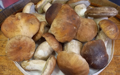 French Market News 4Apr2024-Torch-Fresh Porcinis-Reblochon-TêtedeMoine-DuckFat-Pâtisseries-Pinot Noir-French Market Recipe 2024 16 Pasta bœuf porcinis