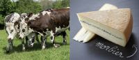 FrenchMarketNews 27Feb2025-Macron at SIA 2025Paris-Morbier-Goats cheese ash-Fresh Porcinis-Saucisson Sec-French Market Recipe 2025 08 Lentilles de Puy