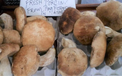French Market News 01may2025-Fete du Muguet-Porcinis-Camembert baked-Black Garlic- Market Recipe 2025 17 l’Ail noir pommes de terre puree