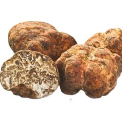 TRUFFLE BIANCHETTO FRESH WHITE SPRING ITALY PER GRAMME