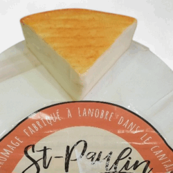 St Paulin cheese France 100gr