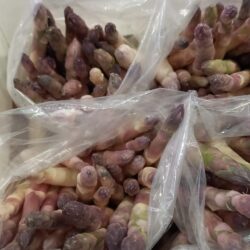 ASPARAGUS  WHITE BY WEIGHT